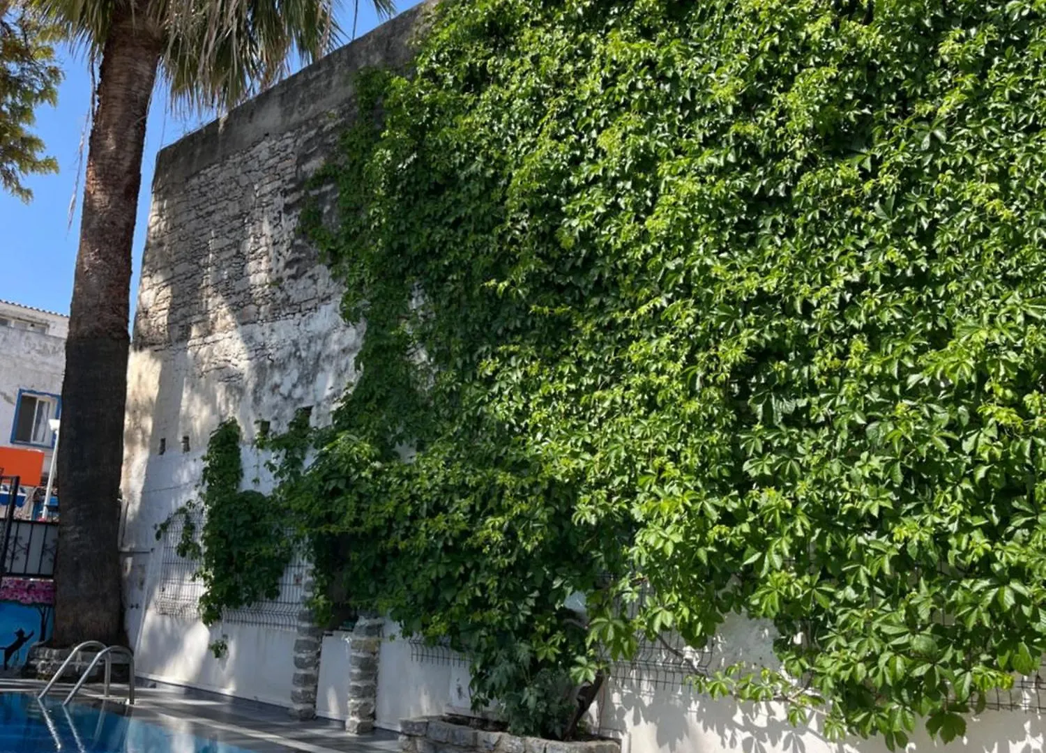 Kılavuz otel Bodrum Türkiye